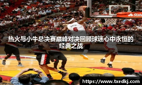 热火与小牛总决赛巅峰对决回顾球迷心中永恒的经典之战