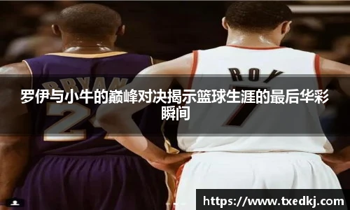 罗伊与小牛的巅峰对决揭示篮球生涯的最后华彩瞬间
